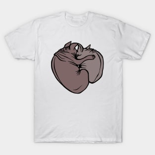 Feline Valentine or a Tale of Two Sphynxes T-Shirt